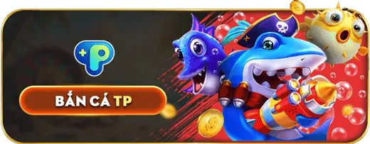 Phân tích thống kê Baccarat